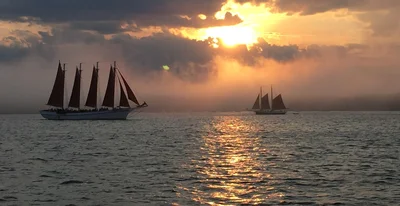 Downeast Windjammer Cruises