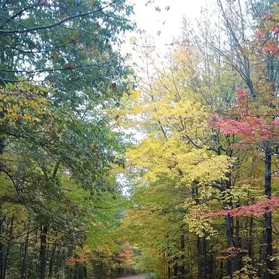 Autumn in Acadia National Park Private Leaf Peeper Driving Tour